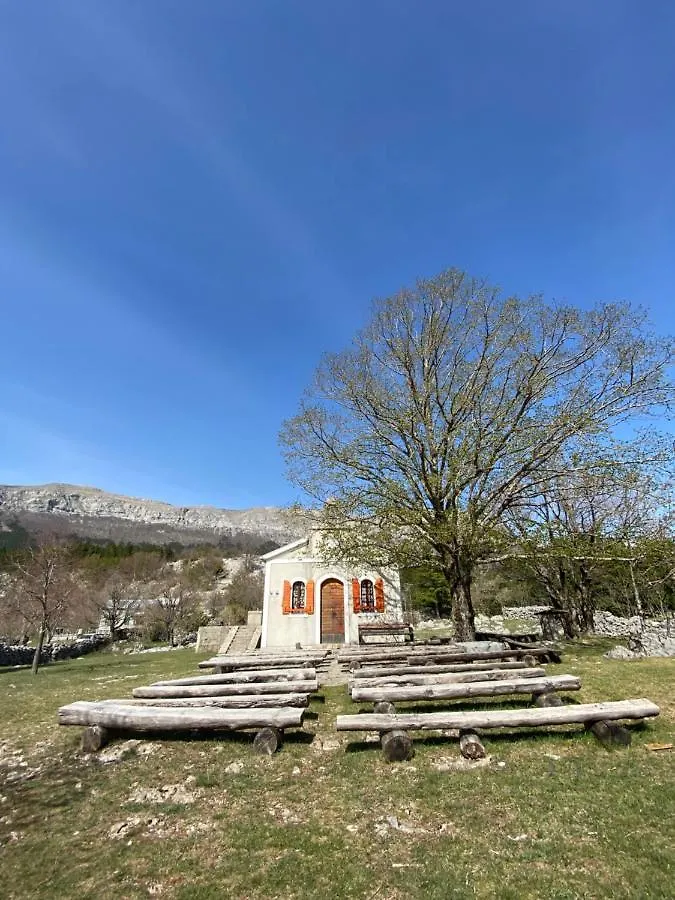 Apartmani 4 Palme Croatia